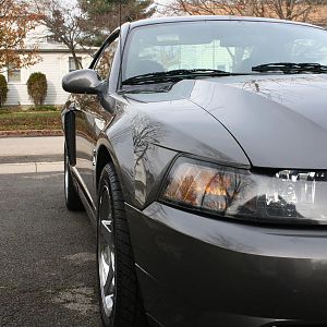 03 Cobra